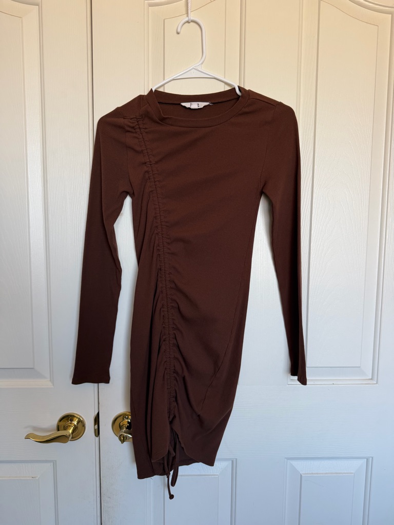Bb Dakota Chocolate Brown Long Sleeve Ruched Side Dress